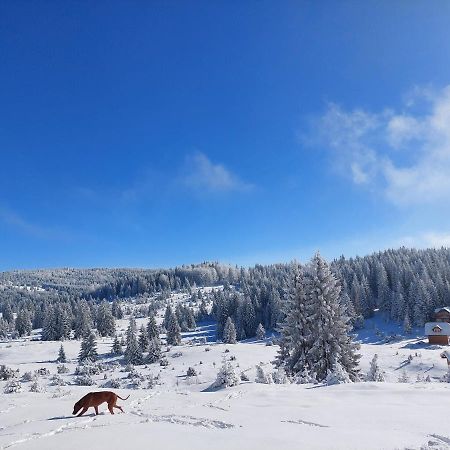 Vila Gold Hill Sekulic Exteriér fotografie