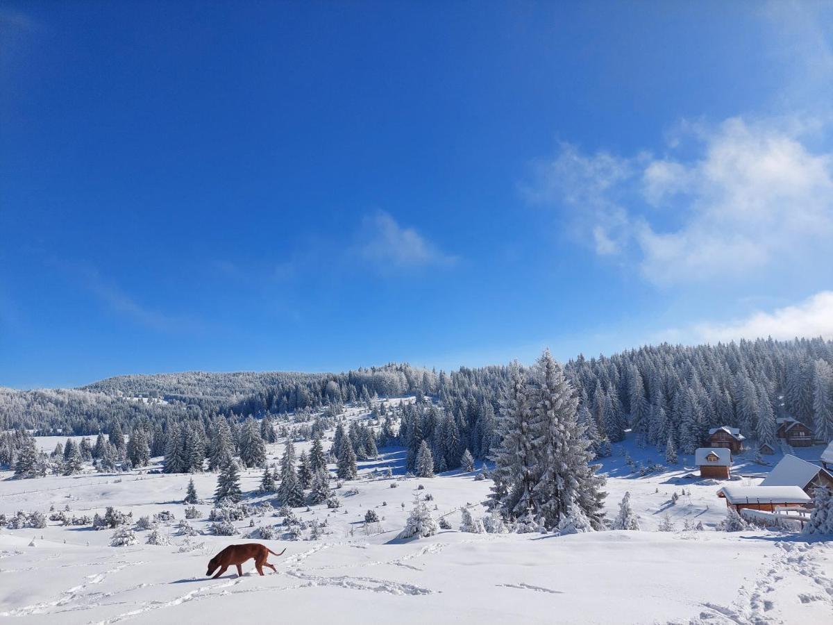 Vila Gold Hill Sekulic Exteriér fotografie